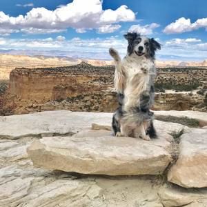 Meet your Posher, Suzanne